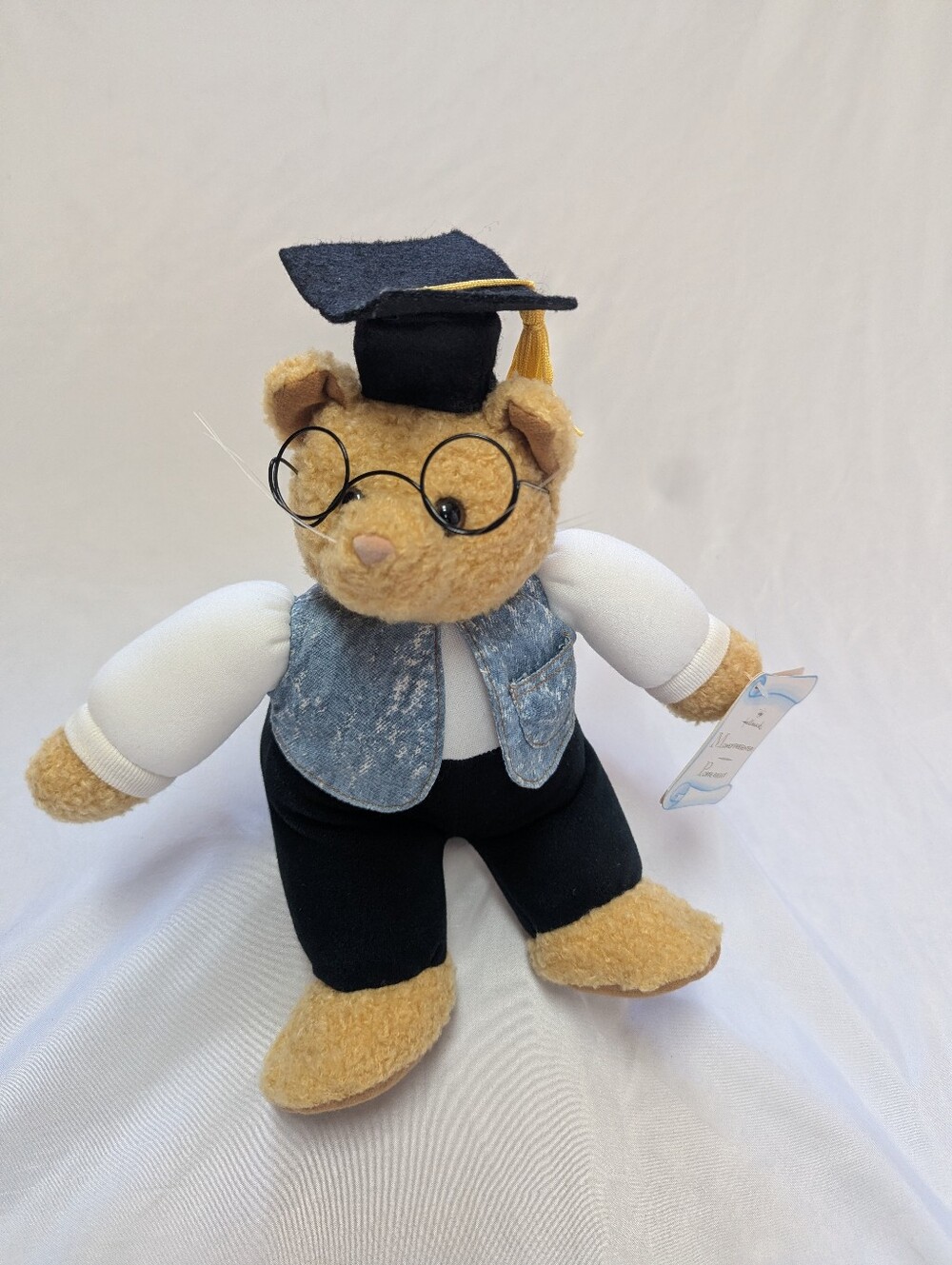 Carl The Cash Cat Hallmark Money Presenter Graduation Gift Novelty Glasses Cap